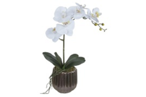 ARRANJO DE ORQUIDEA BRANCO REF-51199-008