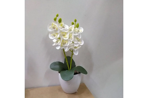 ARRANJO ORQUIDEA X12 CORES SORTIDAS REF-46354-300