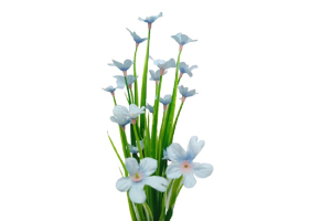 BQ PRIMOROSA X5 AZUL REF-49125-001