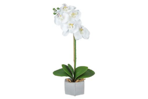 H.ORQUIDEA PHALAENOPSIS CETIM C/VASO 32CM REF-40789002