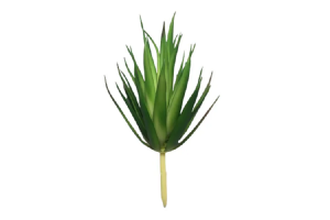 F. SUCULENTA VERDE 18CM REF-42738004