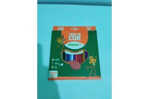 LAPIS 24 CORES RESINA REDONDO REF-4487