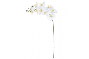 H.ORQUIDEA PHALAENOPSIS REAL TOQUE X9 BR  REF-42493002