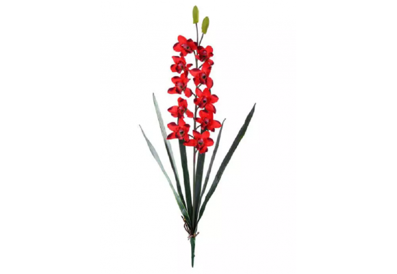 H.ORQUIDEA CYMBIUM CELTIM X10 VERMELHO REF-00801006