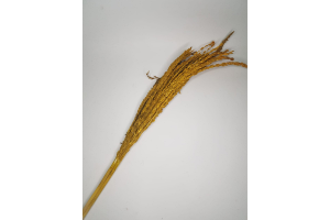 PENDAO DE MILHO DESIDRATADO C/ 3 HASTES REF-61652