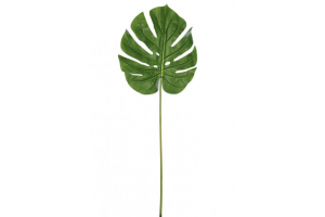 C.FOLHA COSTELA DE ADAO REAL TOQUE VERDE 84CM