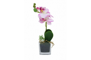 H.ORQUIDEA PHALAENOPSIS C/VASO X5 CORES REF-36686001