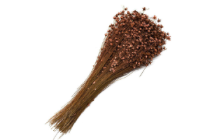 SEMPRE VIVA DESIDRATADO MARROM CLARO 40CM REF-60809