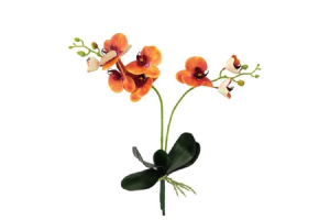 H.ORQUIDEA PHALAENOPSIS C/FOLHA REAL TOQ REF-42507003