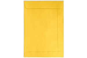 ENVELOPE CURRICULUM 229X324 DOURADO REF-210218