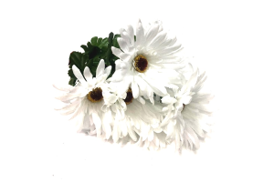 BQ GERBERA X9 BRANCO REF-50222-008