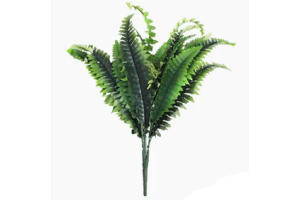 BQ SAMAMBAIA BOSTON X10 VERDE OUTONO REF-50165-243