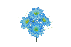 BQ DALIA GD AZUL REF-29358001