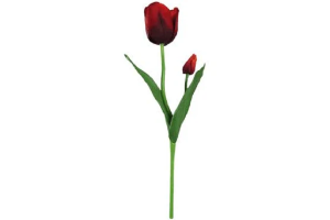 HT TULIPA CETIM VERMELHO REF-43611009