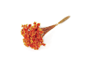 SEMPRE VIVA TELHA REF-49227186