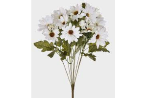 BQ MARGARIDA CREME REF-40807010