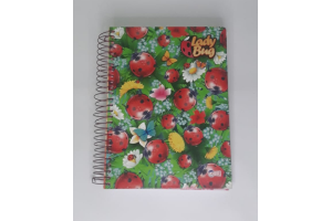 CADERNO LADY BUNG 15 MATERIAS