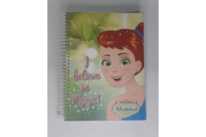CADERNO 12 MATERIAS 240 FLS WONDERLAND COD.563