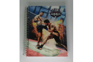 CADERNO 12 MATERIAS MMA