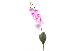 H. ORQUIDEA PHALAENOPSIS REAL TOQUE C/ FOLHA X7 BEAUTY 45CM REF-31997005