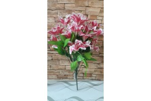 B. LIRIO X24 ROSA 51CM REF-42221001