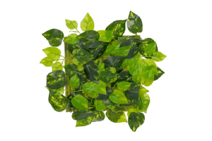 F. GRAMA PLACA  REAL TOQUE X25 VERDE 25X25CM REF-41152001