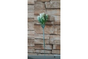 F. PIC C/ PRINT PLT X5 VERDE 22CM REF-39531001