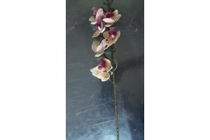 H. ORQUIDEA PHALAENOPSIS REAL TOQUE X7 CREME LAVANDA 53CM REF-32835006