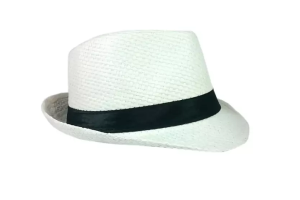 CHAPEU PANAMA REF-LT-0052 /LT-2002 /LT-0039