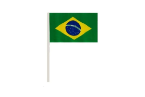 BANDEIRA DO BRASIL PEQUENA REF-C14X21