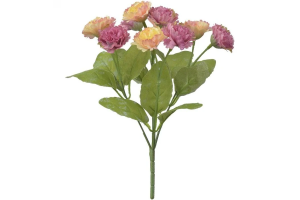 BQ CRISANTEMO X5 LAVANDA REF-51269031