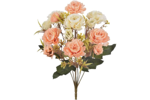 BQ DALIA SORTIDA X5 SALMAO REF-51418011