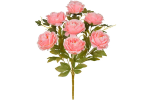 BQ MINI PEONIA X7 SALMAO REF-51424011