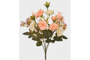 BQ ROSA MISTA X6 TANGERINA REF-51427773