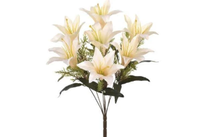 BQ LIRIO SILVESTRE X8 CREME REF-51263010