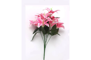 BQ LIRIO DO CAMPO X10 ROSA REF-50204018