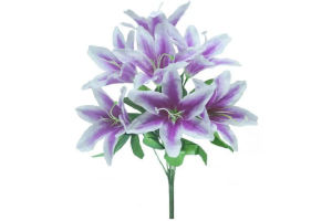 BQ LIRIO SILVESTRE X8 ROSA ESCURO REF-51263488