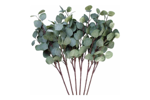 BQ FOLHA EUCALIPTO COMPLEMENTO X6 VERDE REF-44523004