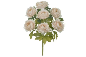 BQ PEONIA X7 CHAMPAGNE REF-51260480