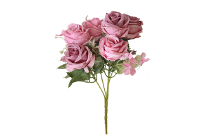 BQ ROSA X5 COM GYPSO ROSA REF-51404018