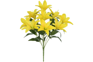 BQ LIRIO DO CAMPO X10 AMARELO REF-50204005