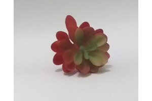 PICK SUCULENTA REAL VERDE OUTONO REF-50253-243