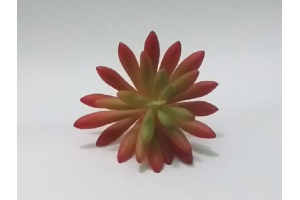 PICK SUCULENTA SEDUN VERDE OUTONO REF-50251-243