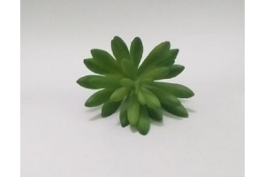 PICK SUCULENTA SEDUN VERDE REF-50251-004