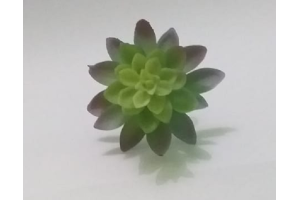 PICK SUCULENTA SEDUN AZUL REF-50254-001