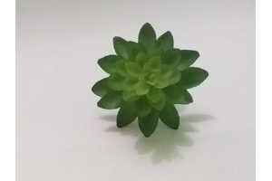 PICK SUCULENTA SEDUN VERDE REF-50254-004