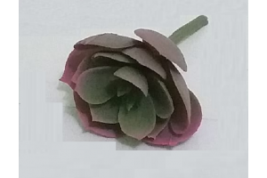 PICK SUCULENTA REAL AZUL REF-50255-001