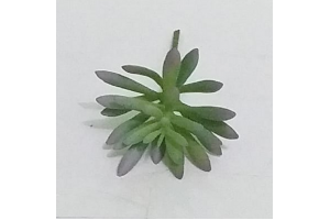 PICK SUCULENTA SEDUN AZUL REF-50251-001