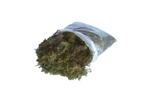 MUSGO SECO VERDE 20X15CM FLORARTE REF-40287