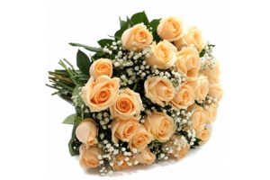 B.ROSA X12 CHA 42CM REF-42249006